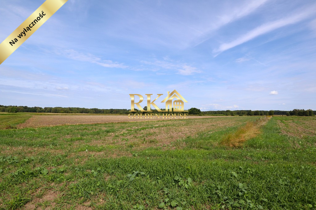 Działka Sprzedaż Dobrzanów