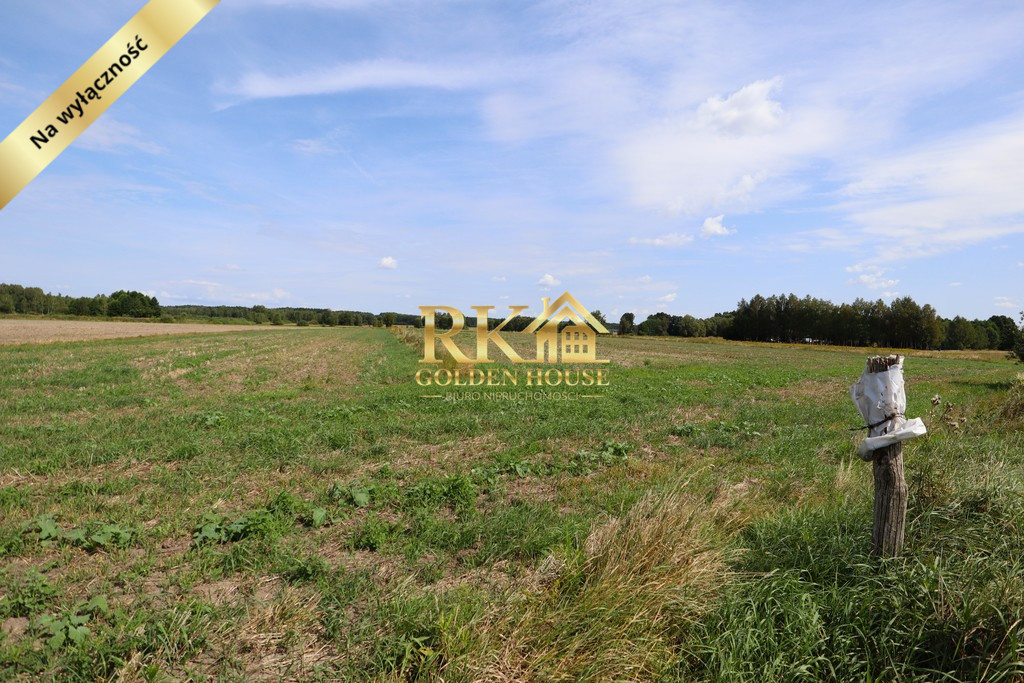 Działka Sprzedaż Dobrzanów