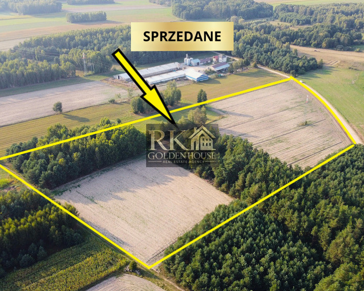 Działka Sprzedaż Zajęczniki