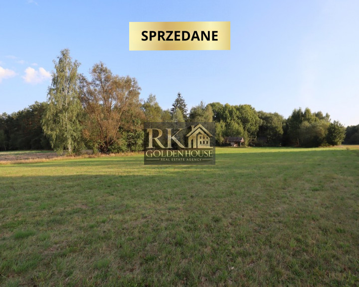 Działka Sprzedaż Zajęczniki