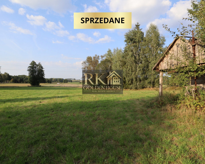 Działka Sprzedaż Zajęczniki