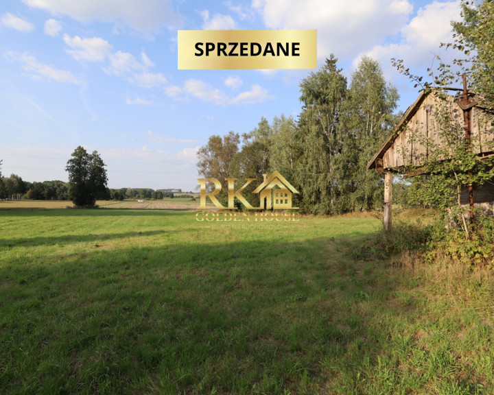 Działka Sprzedaż Zajęczniki