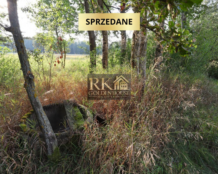 Działka Sprzedaż Zajęczniki