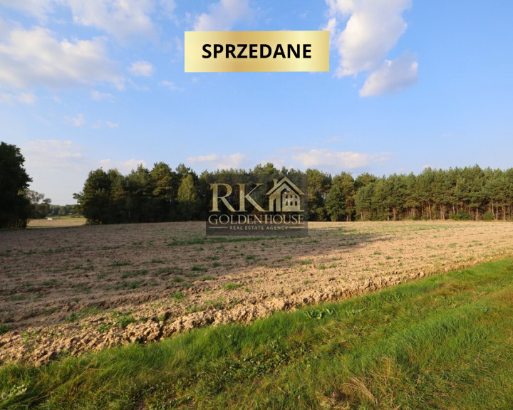 Działka Sprzedaż Zajęczniki