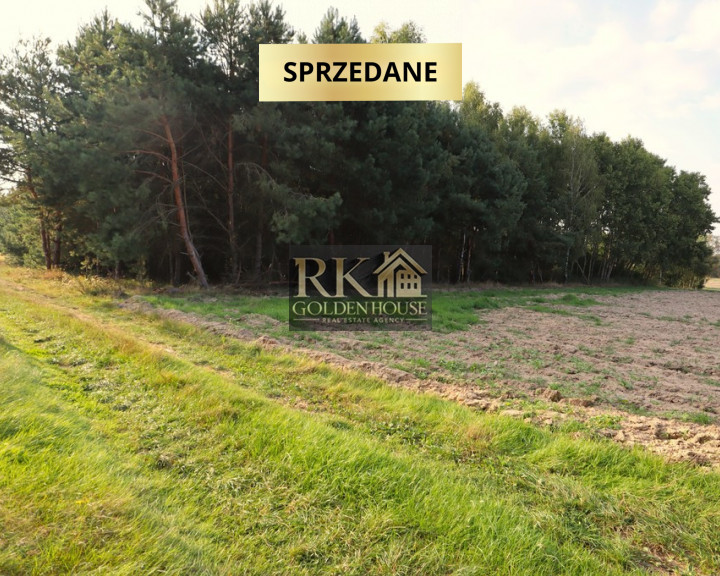 Działka Sprzedaż Zajęczniki
