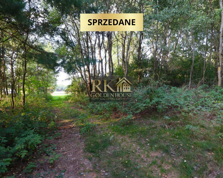 Działka Sprzedaż Zajęczniki