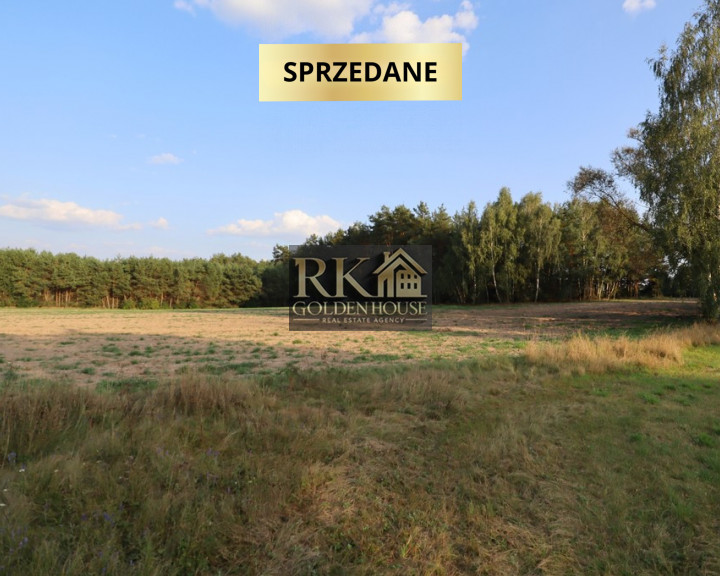 Działka Sprzedaż Zajęczniki