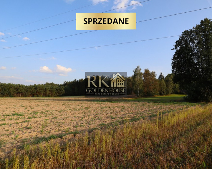 Działka Sprzedaż Zajęczniki