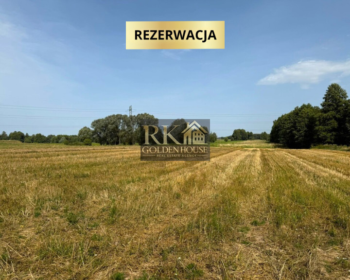 Działka Sprzedaż Kaczory