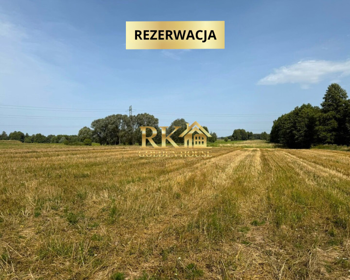 Działka Sprzedaż Kaczory