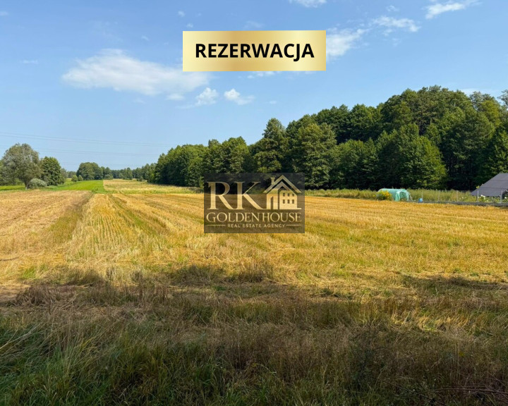 Działka Sprzedaż Kaczory