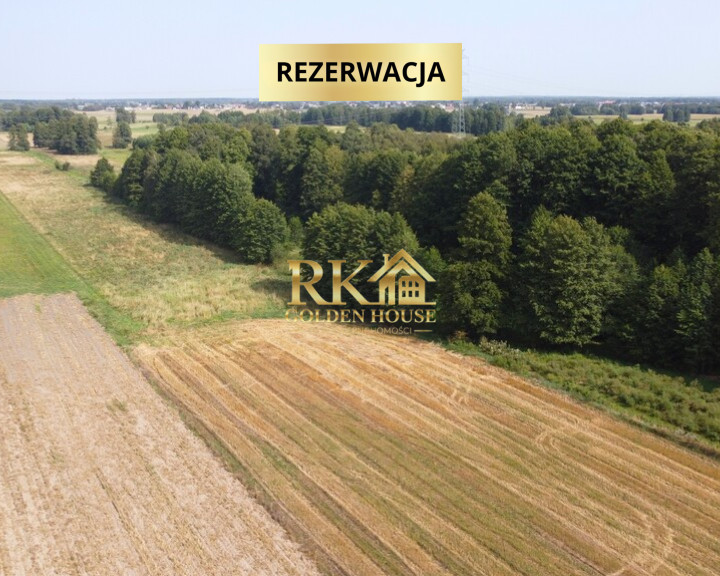 Działka Sprzedaż Kaczory