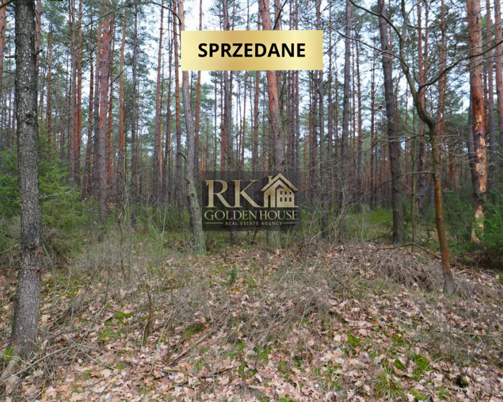 Działka Sprzedaż Olędy