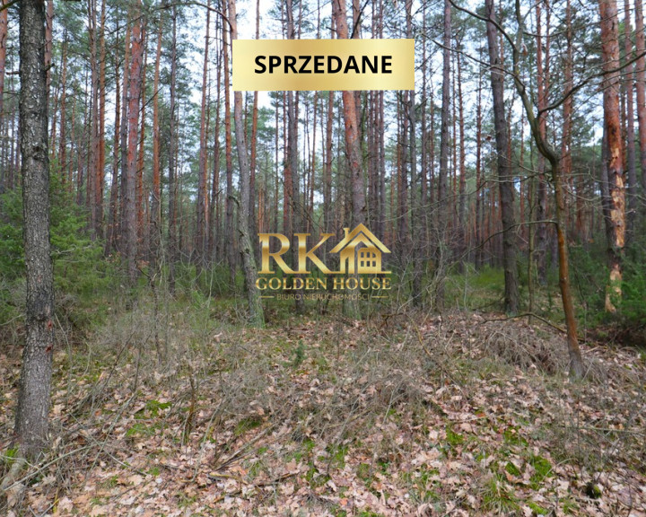 Działka Sprzedaż Olędy