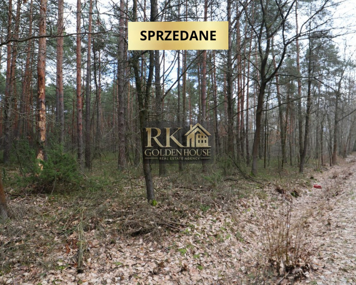 Działka Sprzedaż Olędy