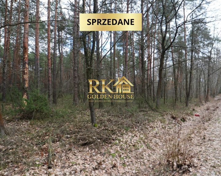 Działka Sprzedaż Olędy