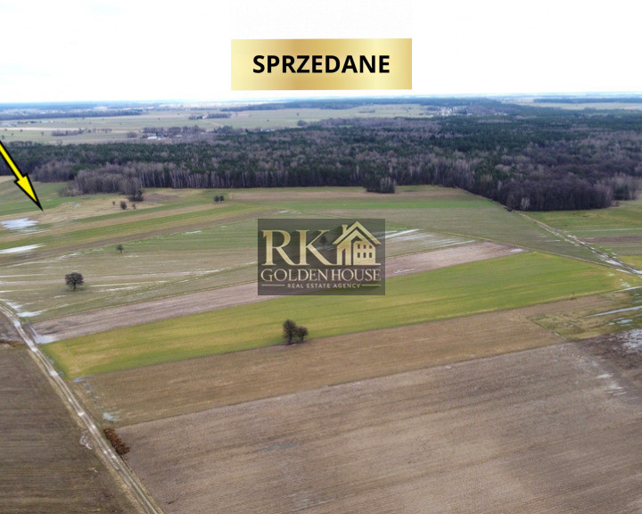 Działka Sprzedaż Olędy